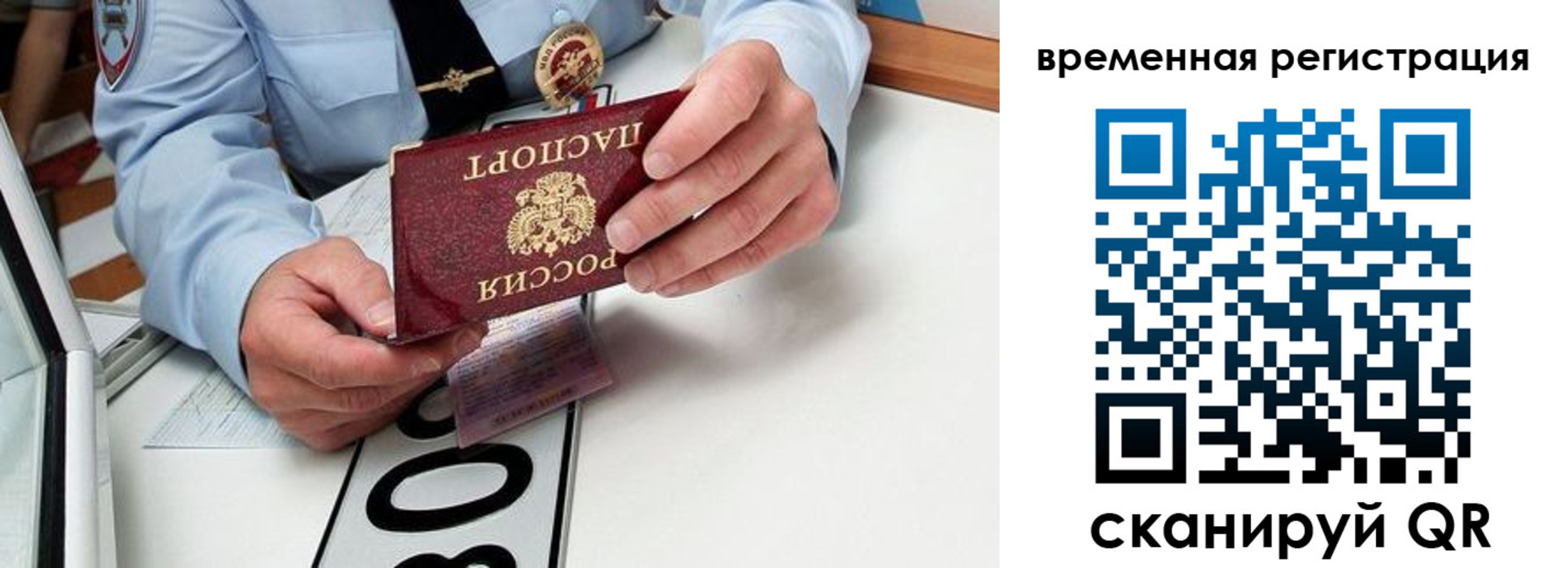 прописка гарантия в Тайге
